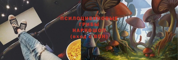 твердый Алексин