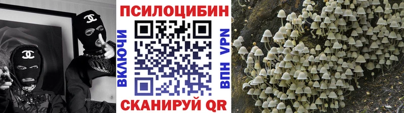 что такое   Лахденпохья  Псилоцибиновые грибы Psilocybine cubensis 
