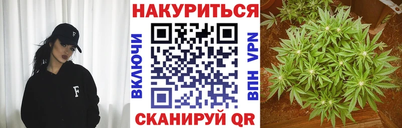 Конопля SATIVA & INDICA  дарнет шоп  Лахденпохья 